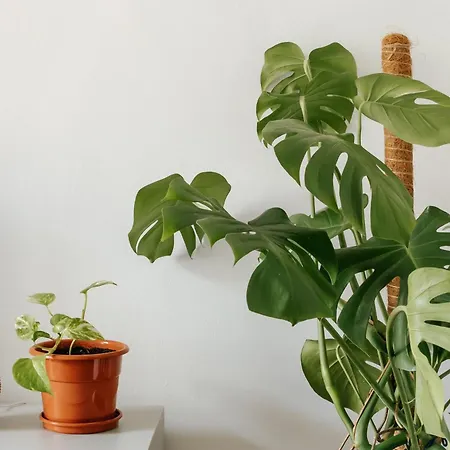 Appartement Diogo's Alcântara I By Mycelia Lisboa
