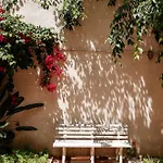 Diogo's Alcantara I By Mycelia Lisboa