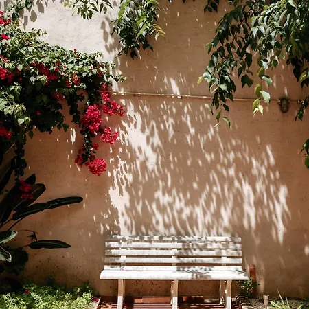 Diogo's Alcantara I By Mycelia リスボン