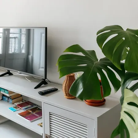 Diogo's Alcantara I By Mycelia